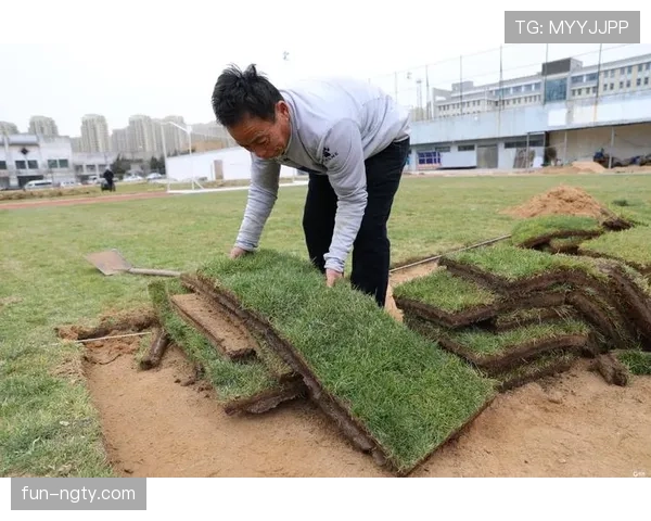 草坪场地规则拆解：标准尺寸与维护细节全解析